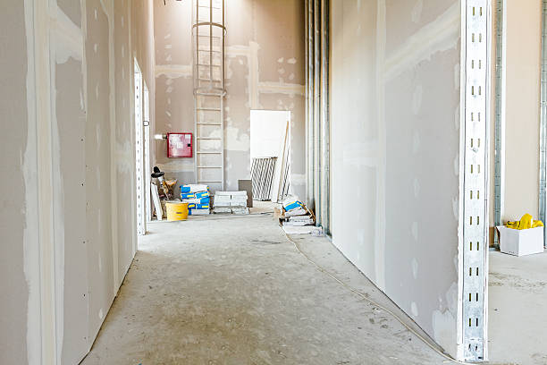 Best Drywall Installation  in Tornillo, TX